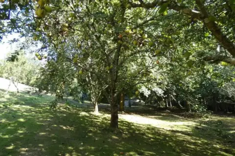 Chalet en Navia
