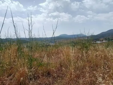 Terreno en calle Pista Colada de los Molinos A E, 176