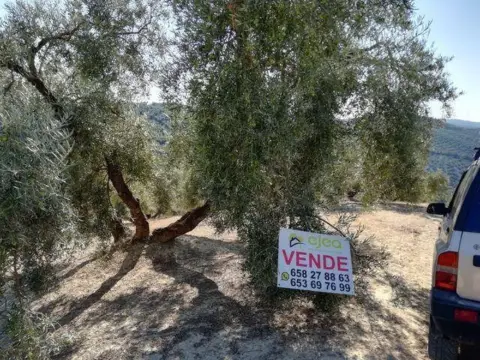 Terreno en Archidona