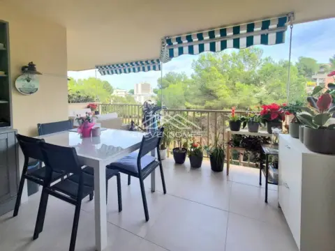 Piso en Sol de Mallorca-Portals Vells