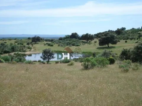 Terreno en Sur