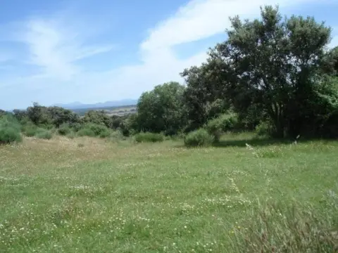 Terreno en Sur