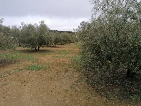 Terreno en Archidona
