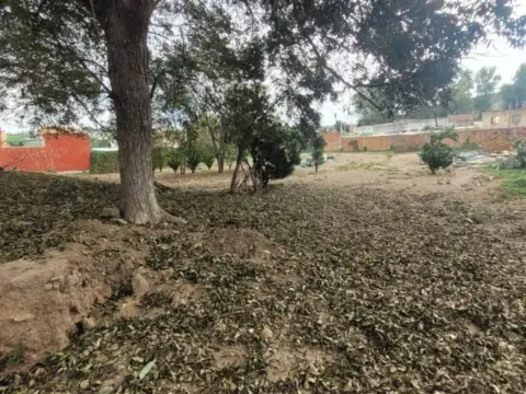 Terreno en calle Carretera A-7S, 77