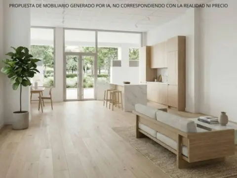 Local comercial en San José-San Carlos-Fontanal