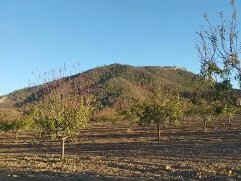 Terreno en Bullas