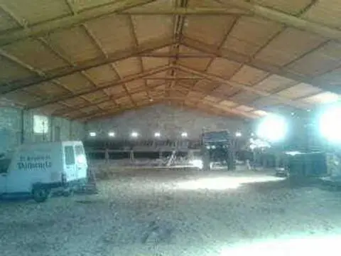 Nave industrial en calle Camino Diseminados, 1