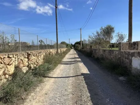 Terreno en Manacor