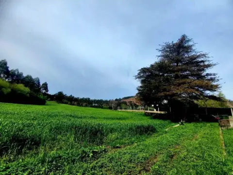 Terreno en Valdés