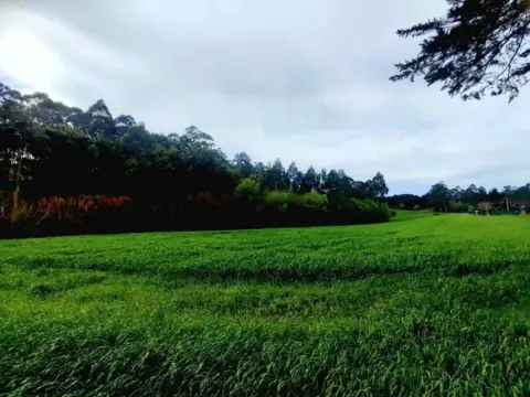 Terreno en Valdés