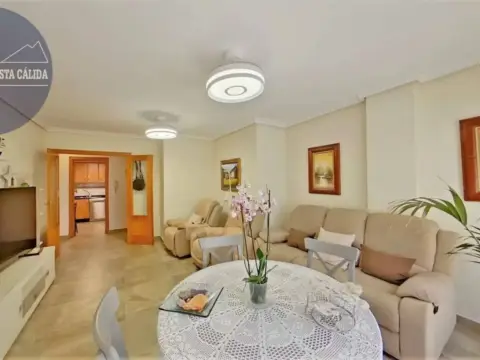 Piso en Avenida de Juan Carlos I