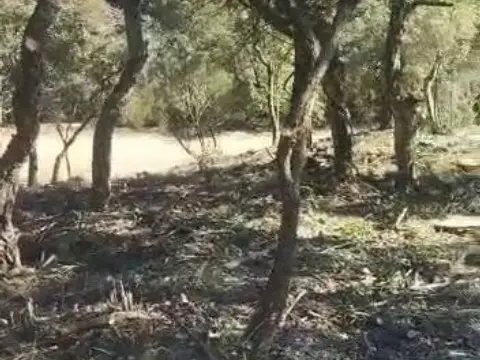 Terreno en Carretera del Mar Negre