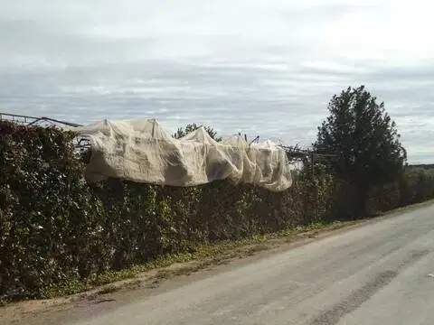 Terreno en Torre-Pacheco