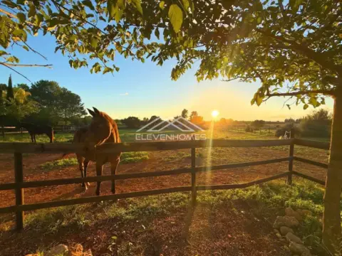 Casa rústica en Sencelles