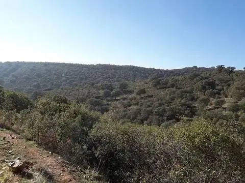 Casa rústica en Patrocinio de San José-Talavera la Nueva-Gamonal