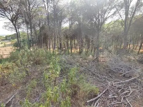 Terreno en Villablanca