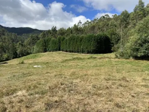 Terreno en Llanera