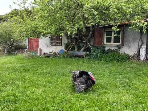 Terreno en calle Poligono 55 Parcela 4 Bco Ballatas. Jaca (Huesca)