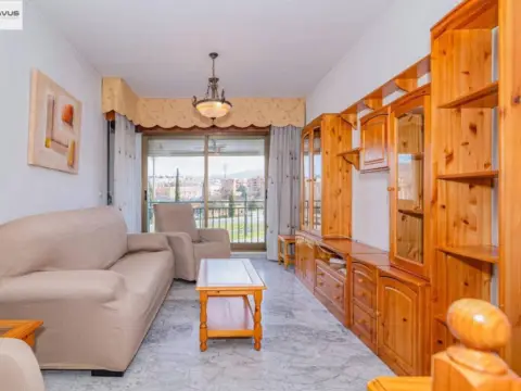 Piso en Castaño-Mirasierra