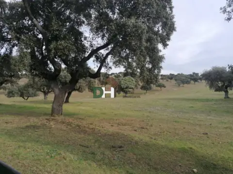 Terreno en Campus Universitario