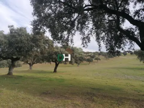 Terreno en Campus Universitario