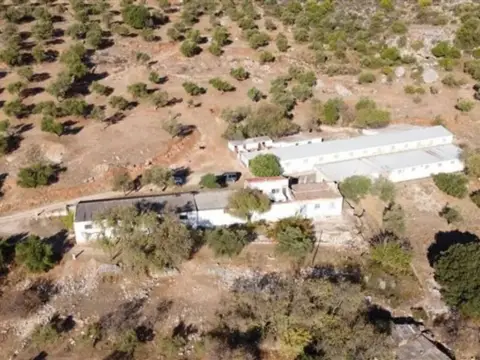 Casa rústica en Benaoján