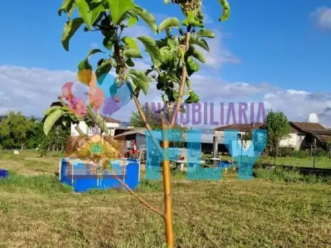 Terreno en A Carballeira (San Cibrao Das Viñas)
