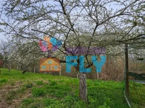 Terreno en O Pereiro de Aguiar