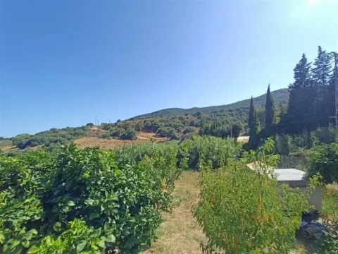 Casa rústica en Altos de Estepona