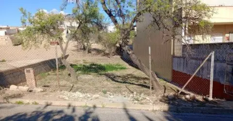 Terreno en Carrer del Lliri