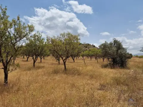 Terreno en Casa Los Molinos