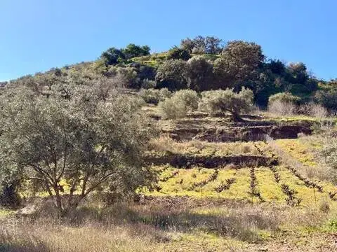 Terreno en calle Diseminado Rio Seco Alto Pol8, 139 B