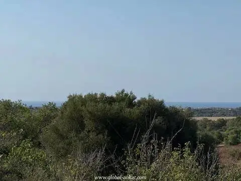 Casa rústica en Manacor