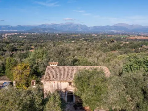 Casa rústica en Llubí