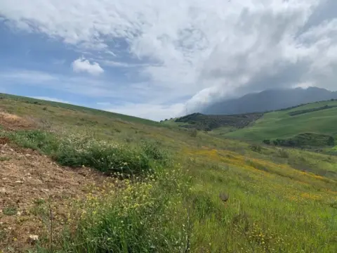 Terreno en Valle de Abdalajís