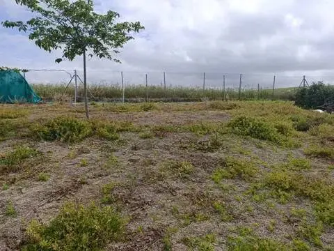 Terreno en Bonanza-Martín Miguel-Monteolivete