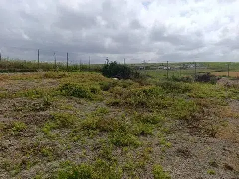 Terreno en Bonanza-Martín Miguel-Monteolivete