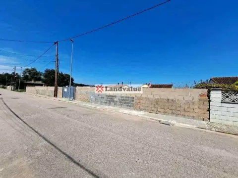 Terreno en calle Pintor Cases, 14-16
