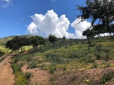 Casa rústica en Zufre