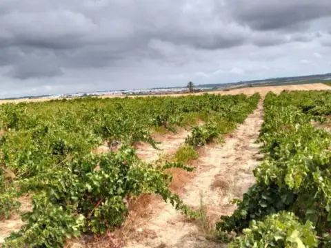Casa rústica en Bollullos Par del Condado