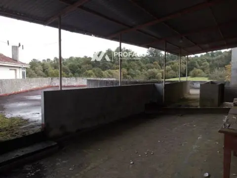 Casa en O Carballiño