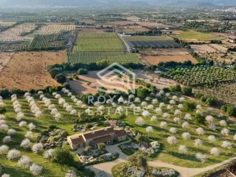 Chalet en Binissalem