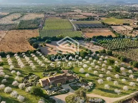 Chalet en Binissalem