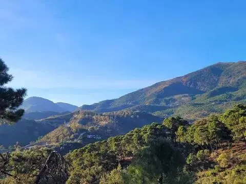 Terreno en La Zagaleta