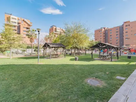 Piso en Los Periodistas-Parque Almunia-Albayda