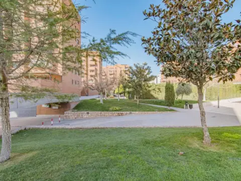 Piso en Los Periodistas-Parque Almunia-Albayda