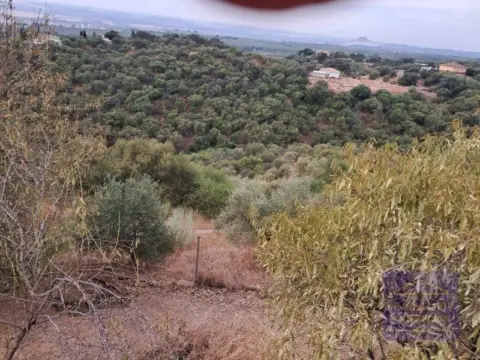 Casa rústica en Almodóvar del Río
