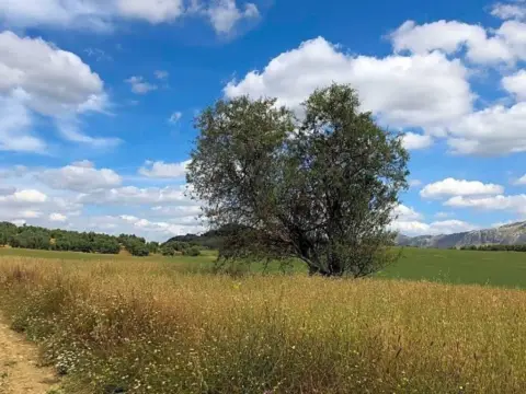Terreno en Zona Cueva de Menga