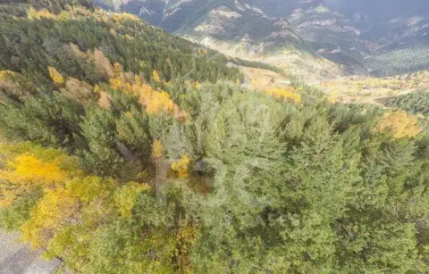 Terreno en La Massana