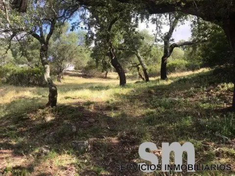 Terreno en Ubrique